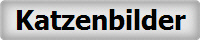 Katzenbilder